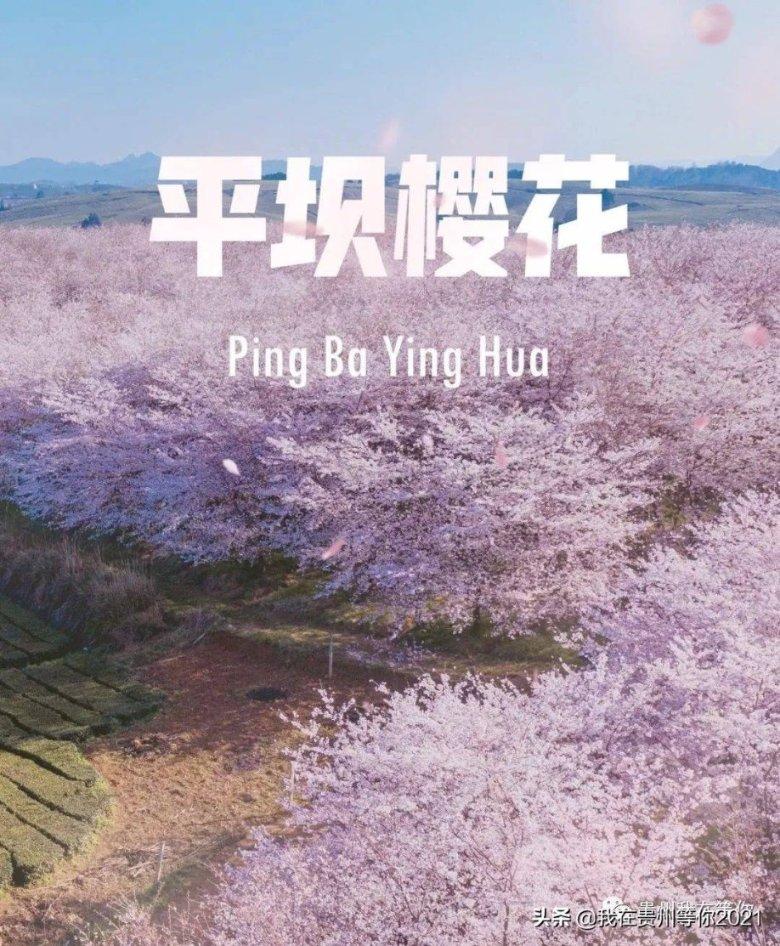 探索知识星球平台,发现出去吃饭发现饭菜缺斤少两,消费者应如何进行维权?精彩世界